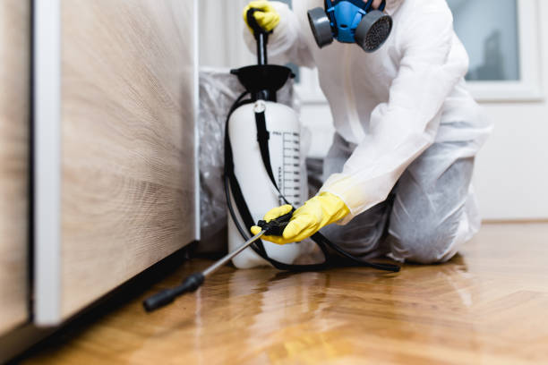Best Pest Prevention Services  in Galliano, LA