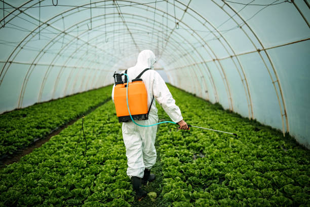 Pest Prevention Services in Galliano, LA
