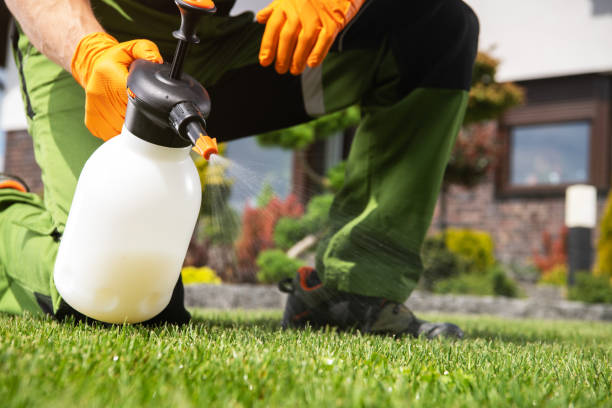 Best Local Pest Control Services  in Galliano, LA