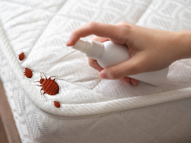 Best Bed Bug Extermination  in Galliano, LA