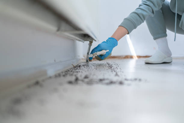 Best Pest Control for Restaurants  in Galliano, LA