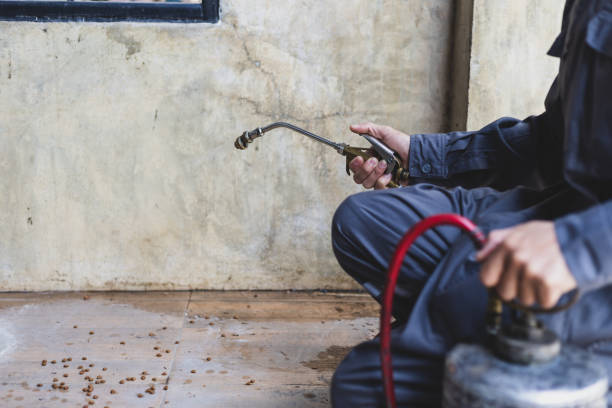 Best Exterminator Services  in Galliano, LA